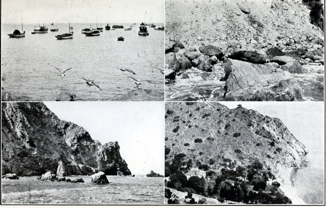 1. Harbor, Catalina Island. 2. Seals on Rocks at Catalina Island. 3. Catalina Island. 4. Home of Owner of Catalina Island.