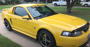 2004 Ford Mustang New Edge Build