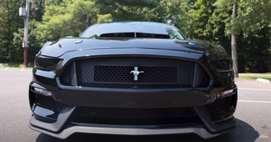 Custom 2017 Mustang GT