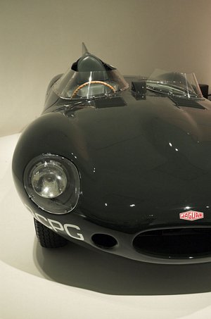 1955 Jaguar D-type