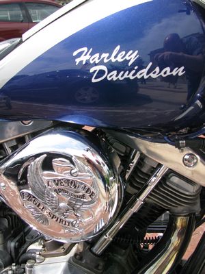 Harley-Davidson FLH