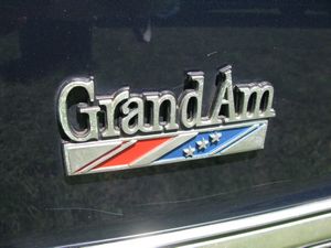 1979 Pontiac Grand Am Emblem
