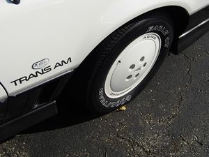 1983 Pontiac Trans Am Daytona 500 Pace Car