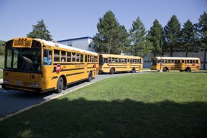 School Buses at School