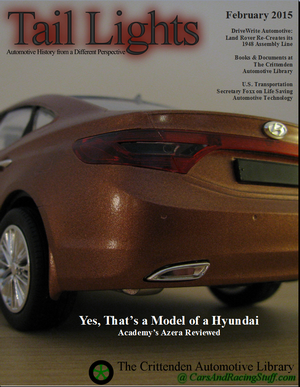 Tail Lights Cover: Hyundai Azera Model