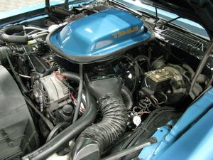 1979 Pontiac Trans Am Engine