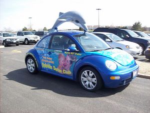 Dolphin Swim Club Volkswagen New Beetle