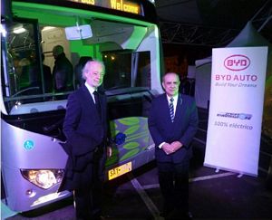 BYD Electric Buses