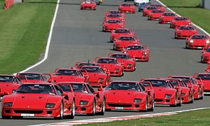 A gathering of F40s at Silverstone
