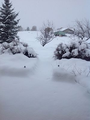 Snow in Colorado