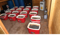 A photo of liquid methamphetamine in buckets, used as evidence at trial.