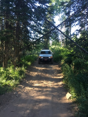 2008 Toyota FJ Cruiser