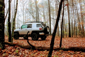 2008 Toyota FJ Cruiser