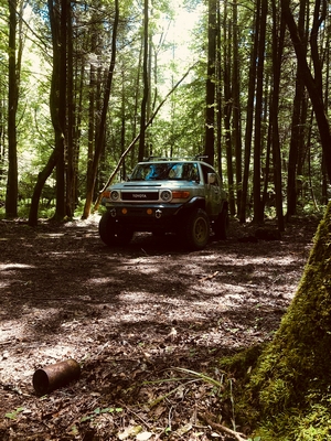 2008 Toyota FJ Cruiser