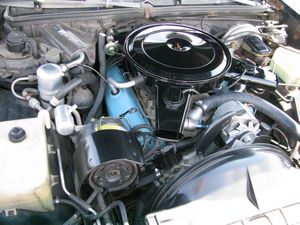 1979 Pontiac Grand Am Engine