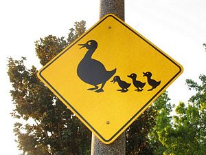 duck crossing sign