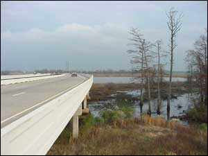 photo of a raised highway near trees and water
